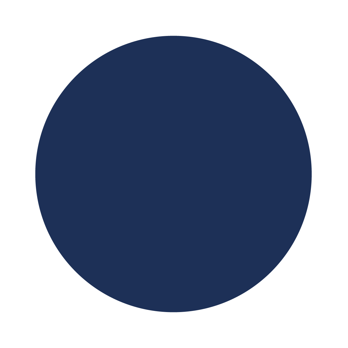 Icons_Kreise_Zeichenfläche 1 Kopie 3